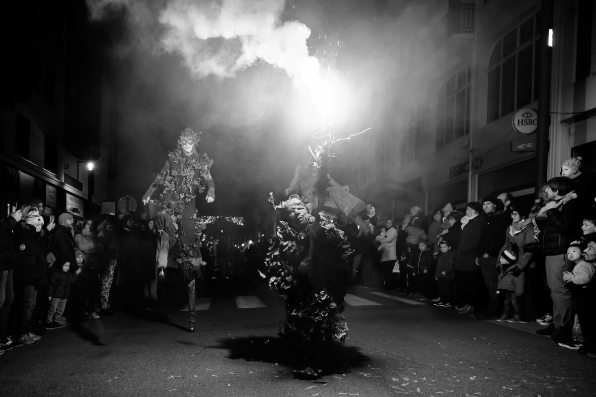 "Artiste échassier du spectacle les Esprits de la forêt – Compagnie Les Vaguabondes"
