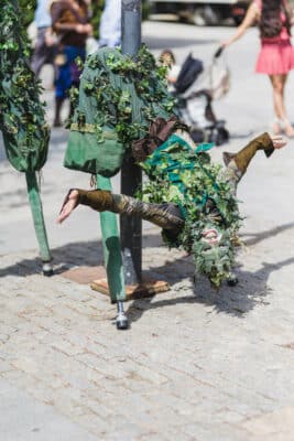 échassier esprit acrobate