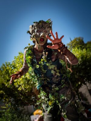les Esprits de la forêt à bourdeaux