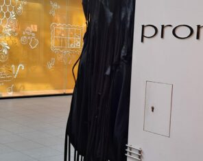 Échassiers à Toulouse Cie Les Vaguabondes à Toulouse spectacle vivant